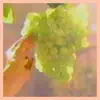Aebleo - Grape Fanta - Single